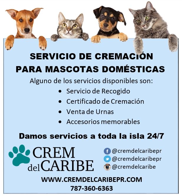 Crem del Caribe on Twitter: "#cremdelcaribepr #cremacion #mascotas #PR  #amigofiel #servicios #comunicate #sonfamilia #martes  https://t.co/UQz3Khidyc" / Twitter