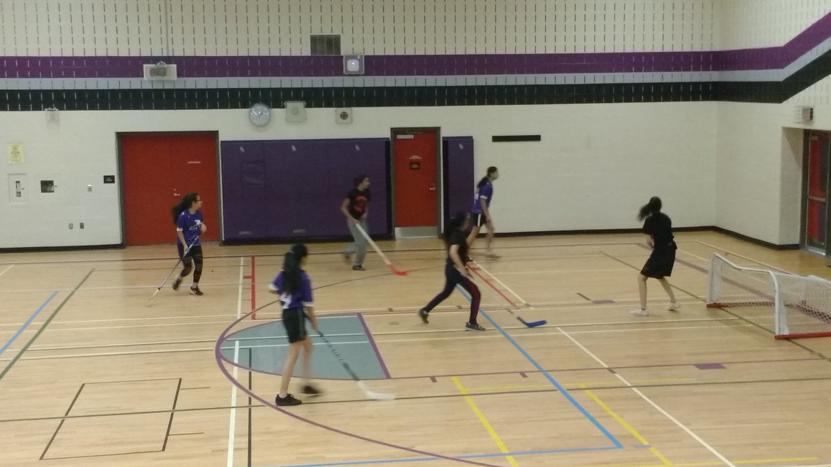 BCSSLax's tweet image. Girls Ball Hockey @bcssbucks at Braithwaite today!