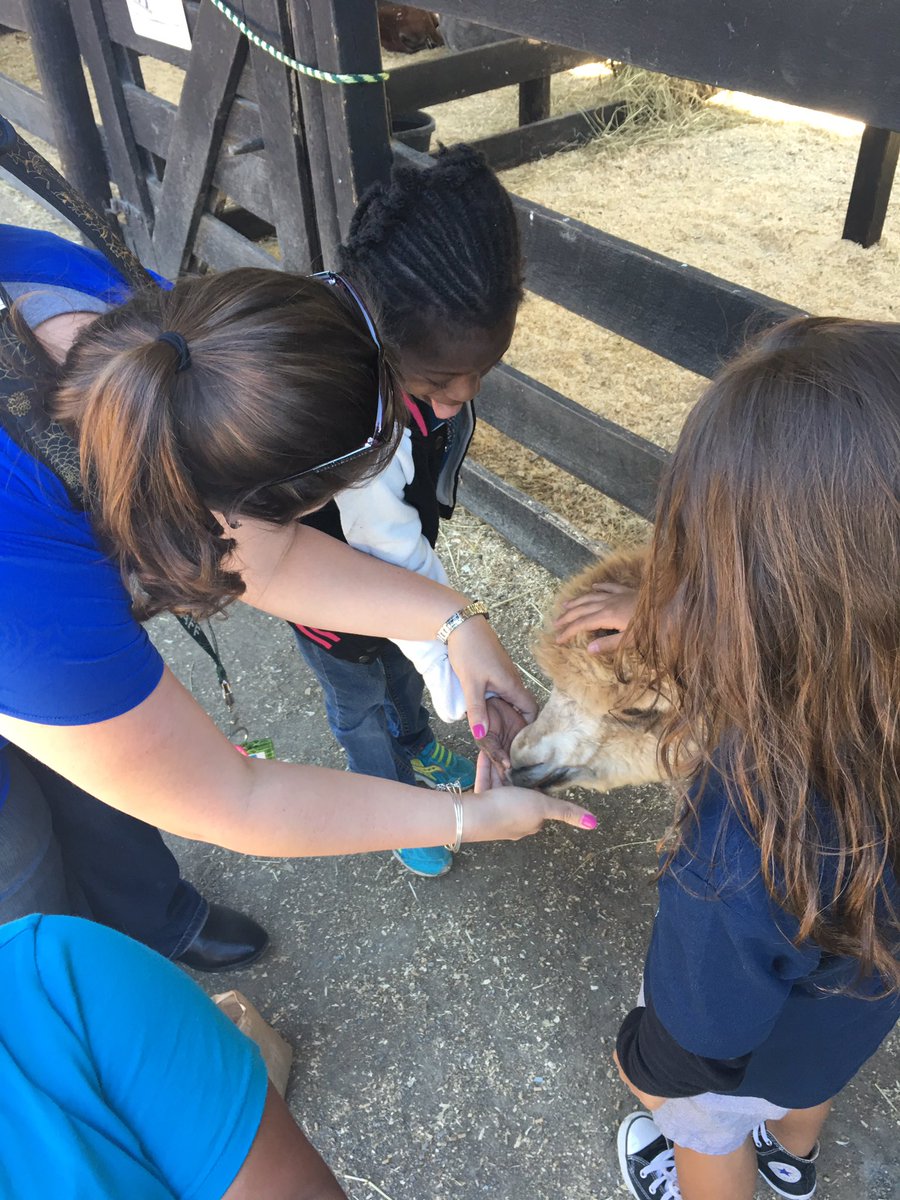 morgankhuey's tweet photo. Today was a super fun day in K for RRD!  We loved our field trip to Leesburg Animal Park. @RRD_LCPS https://t.co/leyyK3ggBU