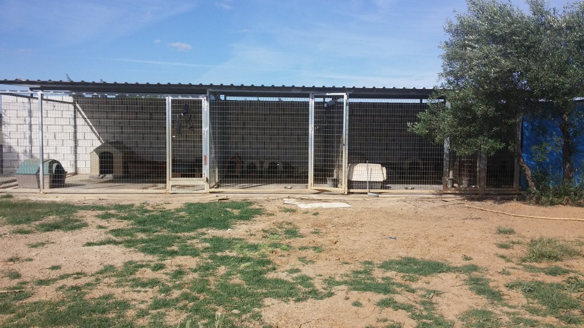 para_santos's tweet photo. Se venden perreras de garbanizado 1año y medio nuevas 3x4 y 5x4 sevilla interesados escribirme graciasss rt xfvr https://t.co/OXJNfftCnW