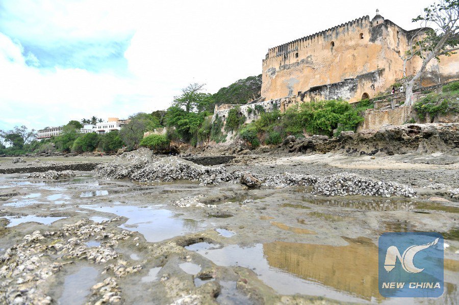 imenou_imy's tweet photo. Fort Jesus in Kenya's Mombasa is among world's top cultural heritage sites along... https://t.co/dFInPd2m6A by #XHNews via @c0nvey https://t.co/VTBdl2CJdd