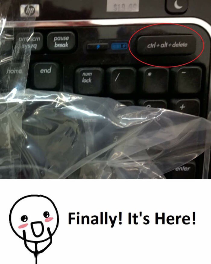 worldpeacestore's tweet photo. Follow us @anonysidromous ull definitely not need this #funny #ctrl #alt #del https://t.co/2NtgjLdM0e