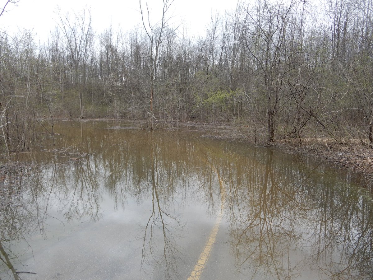 kvallevand's tweet photo. Sentier Leamy Lake pathway #gatineauflood #inodations https://t.co/HaIbqBrTdf