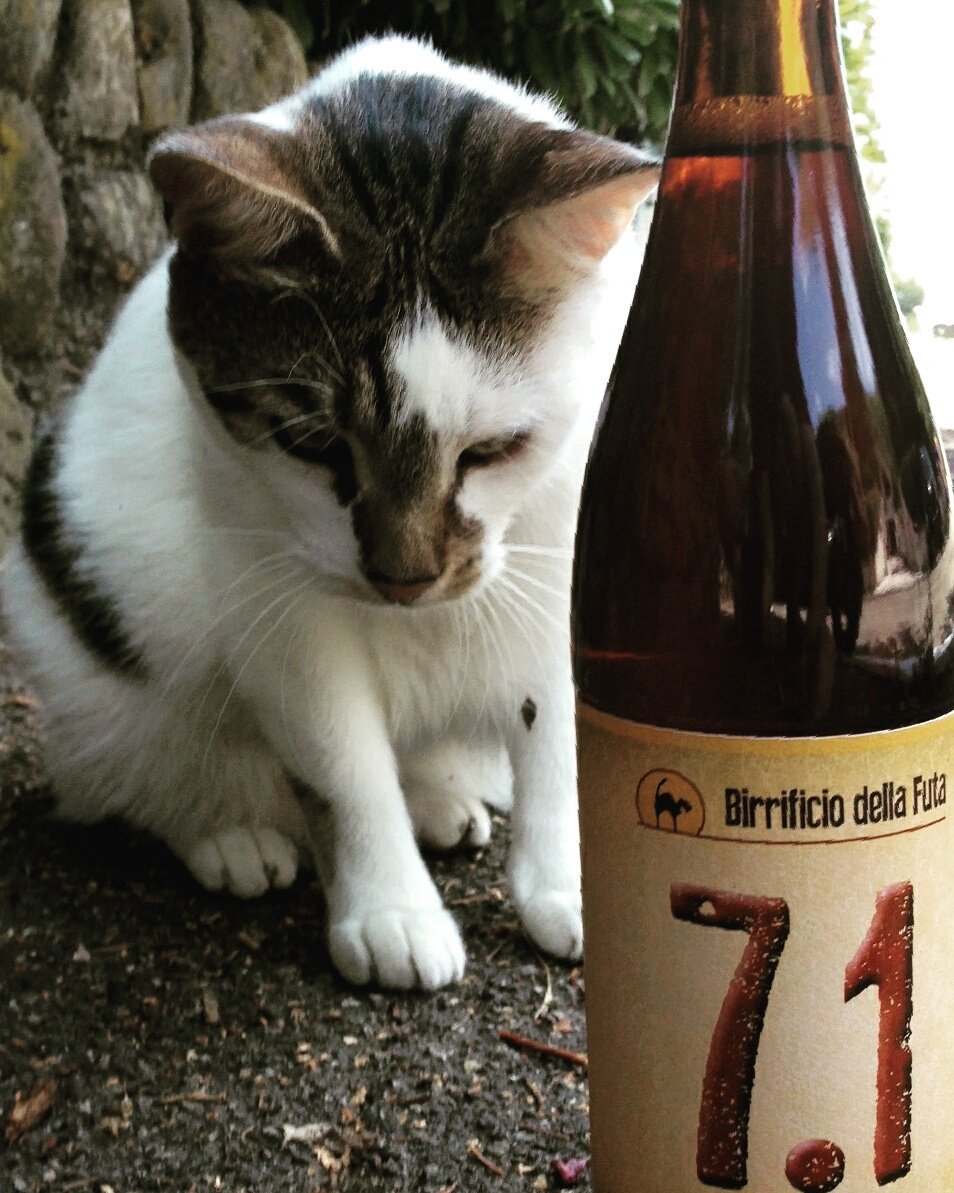 BirrificioDellaFuta (@birrificiofuta) on Twitter photo 
