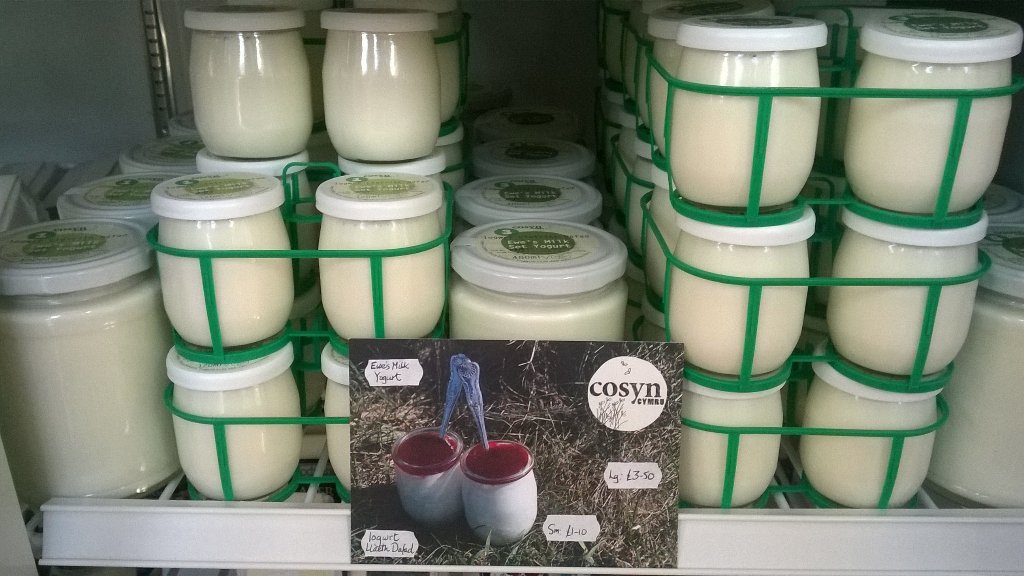 Mae'r iogwrts yn ol...Yogurts are back! <a href="/Moelyci1/">Moelyci</a>