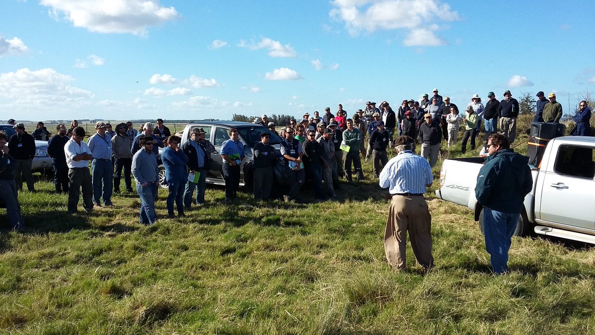 #giraganaderaCREA Recorrida de campo en el establecimiento de familia Tisnés. Mucho por compartir y replicar.