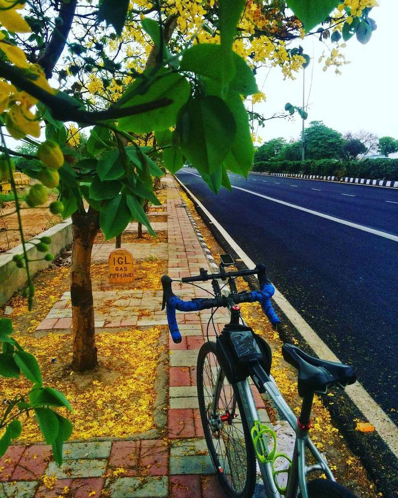 dh2anjay's tweet photo. 50K easy ride #morningcycling #morningride #funride #cyclinglife #Cycling #cyclingshots #cyclingphotos #crossrip #… https://t.co/ulQKKPF0pv https://t.co/Ij9ho6FYue