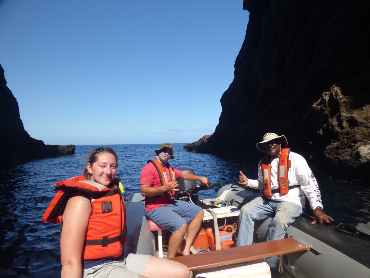 savingmonkseals's tweet photo. Survey of Niihau and Lehua went great with at least 43 #monkseals counted on the islands. Next stop the amazing island of #Nihoa. https://t.co/NKIJ1RzyFq