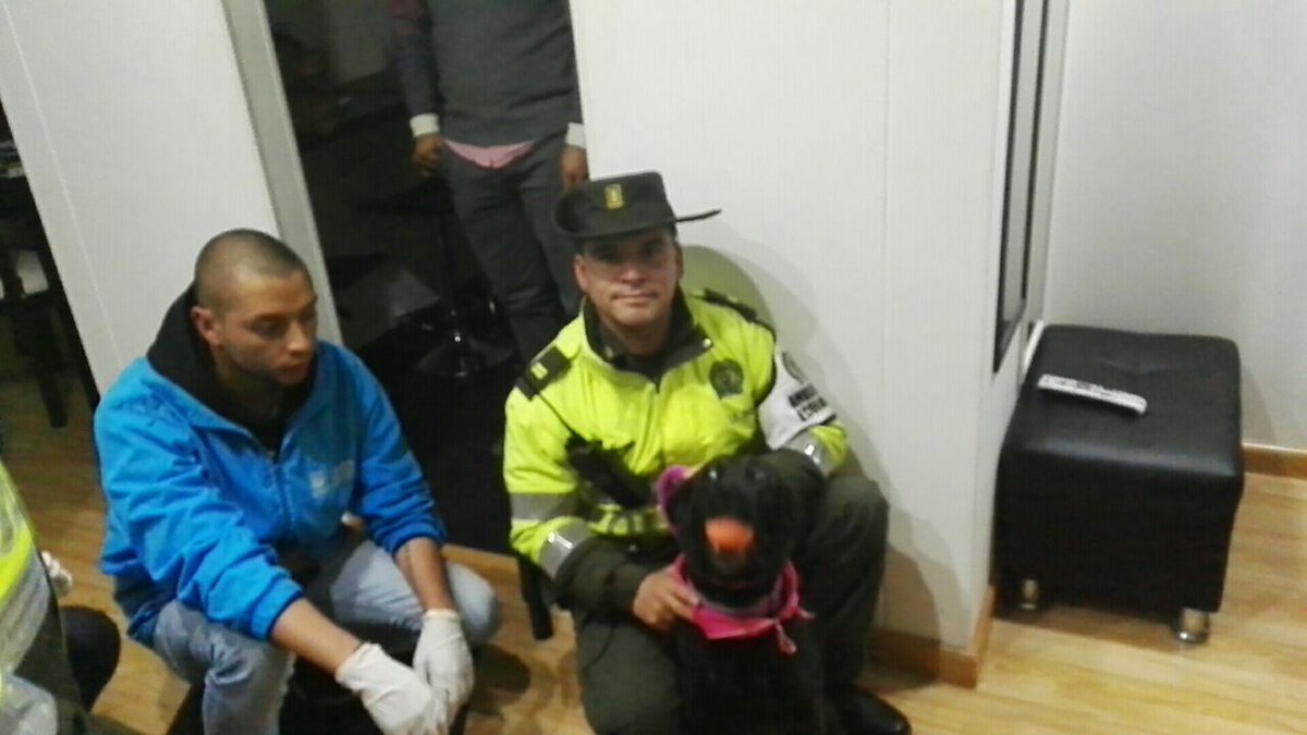 PoliciaColombia's tweet photo. Junto a @AnimalesBOG ya tenemos a #Sasha, la pondremos en protección. Agresor responderá ante la justicia. Gracias 🐶 https://t.co/wt8UB7Wtyy