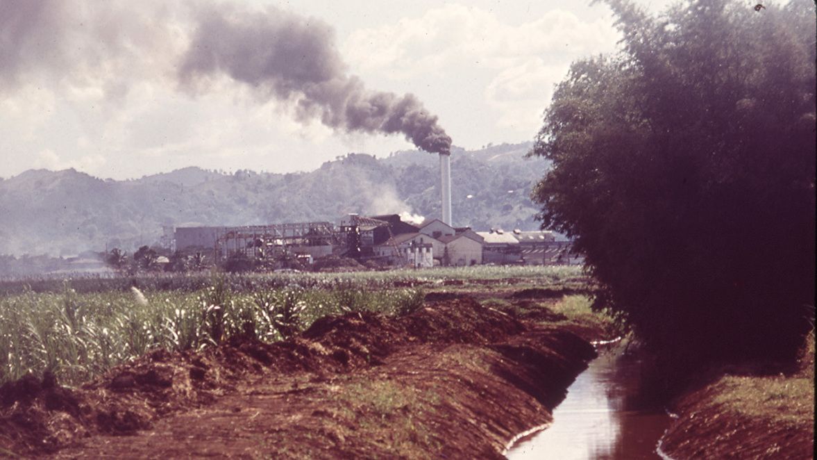 Food+Tech Connect tweet media