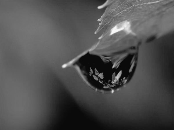 #RABBİM.
~HeRşey
   #SeNiNLe ~güzeL
__Bu GüNeş
__Bu YağmuR
__Bu TopRak biLe.
YüReğimi
 #SeNiNLe ~DoLduR
___SoN ANımda biLe..✏

___Hamd Sana.