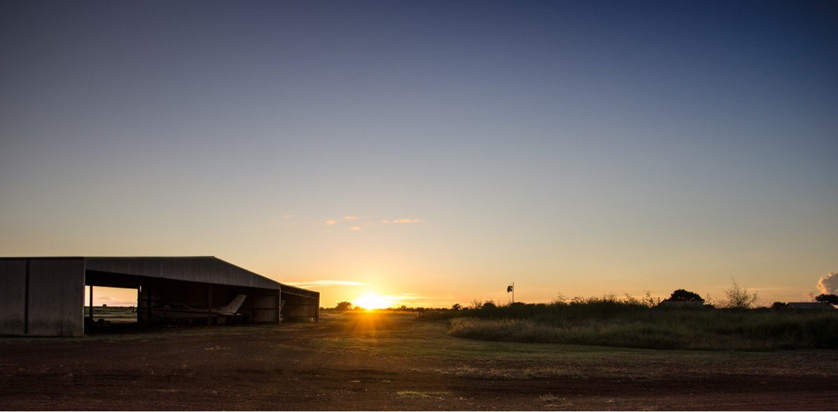 Kristy O'Brien tweet media