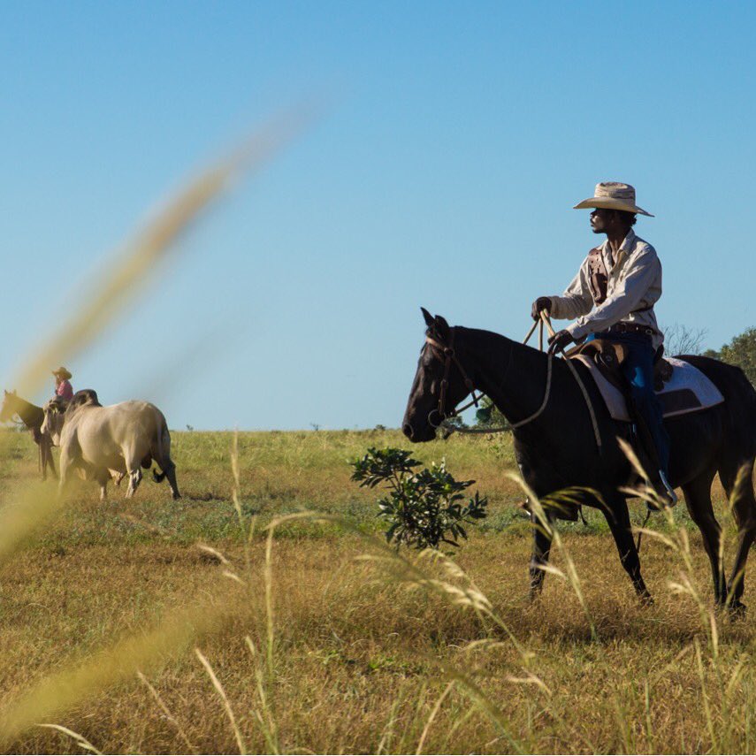 Kristy O'Brien tweet media