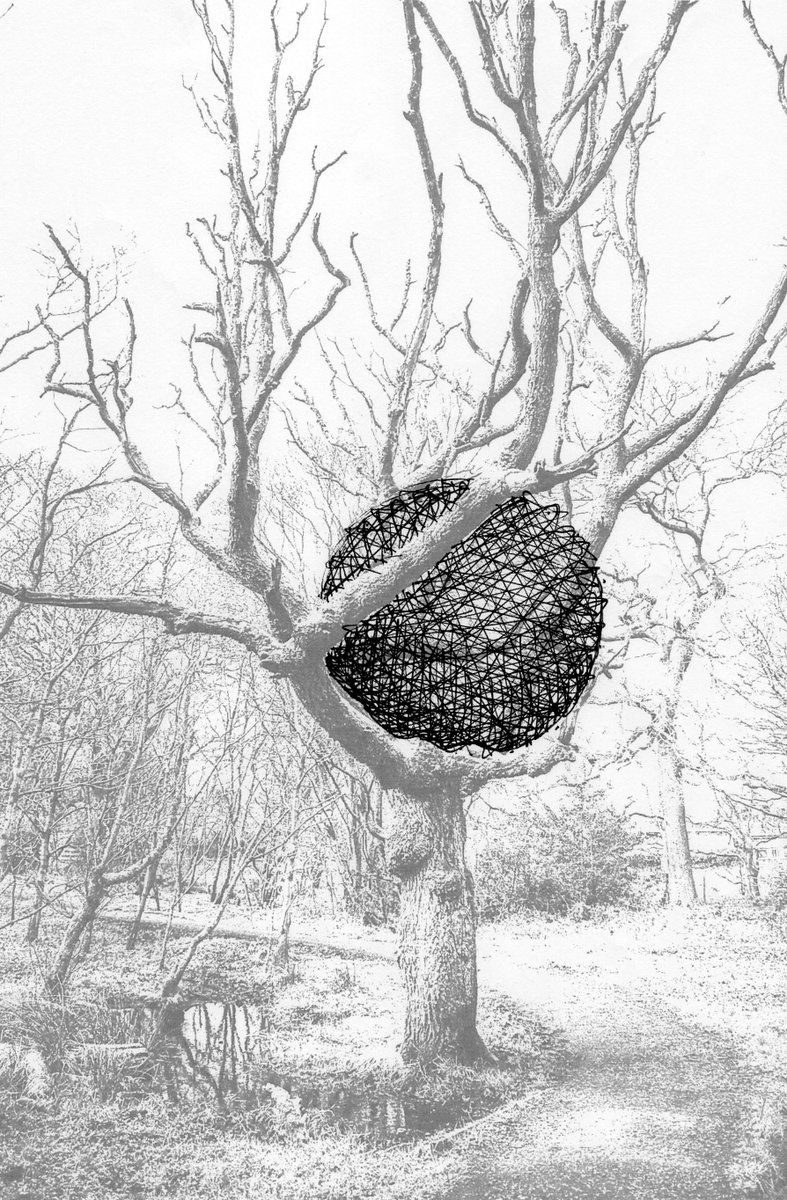 NatsHolbrook's tweet photo. When your day in the office means making Tree Orb come to life from concept to install at Lenzie Moss Art Project @artwalkporty #insidelane https://t.co/B2Jy0ktQ54