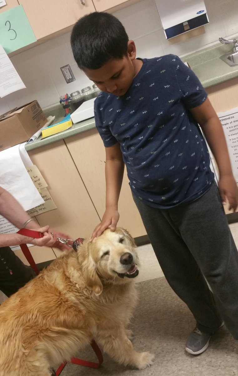 filpam64's tweet photo. T & Bella, the golden retriever, seem to really like each other. #dogvisit #kindness
@MrR_Jmv @VianneyBW https://t.co/NprN7S7nI1