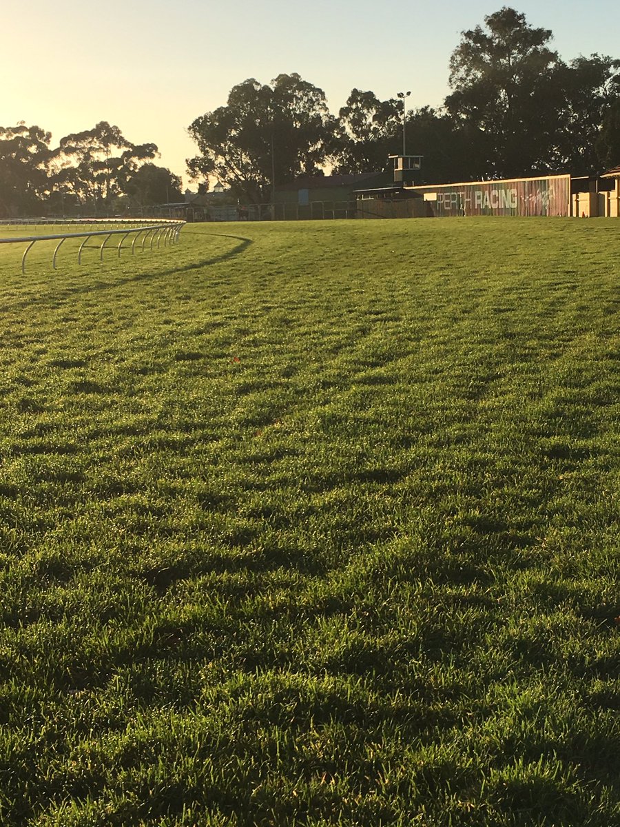 Naysh07's tweet image. PERTH, ASCOT Track, GOOD4 weather FINE,rail 12m,Peno 6.6, Rain 10mls wk 0mls o/n, 1st 12.42. @PerthRacing @OfficialRWWA