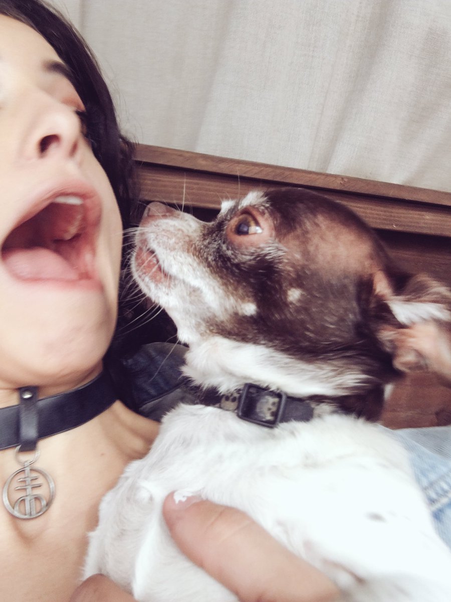 NiaLovelis's tweet photo. https://t.co/1AsG7A0el8