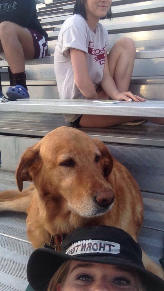 TAsoftball16's tweet photo. Another Dub 9-2 against MGA/Falmouth! Player of the game goes to @LindsayLuopa for being cool and loud #DoggoForStylePoints #yeet https://t.co/kpKhZMZc41