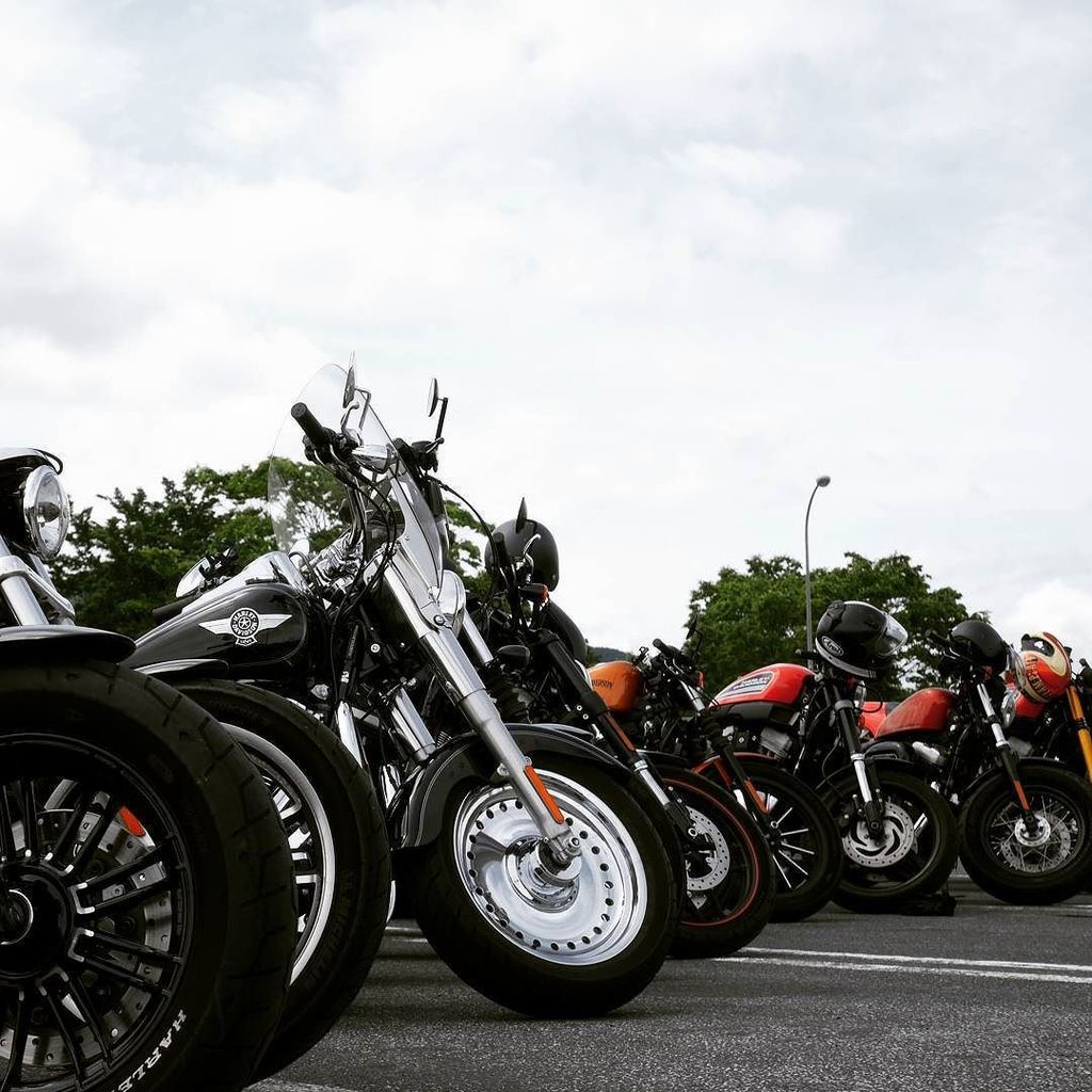 harleystyle_'s tweet photo. Where to?
#harleydavidson #motorcycles #harleystyle https://t.co/zIYTkYB4pW https://t.co/74minCTycD