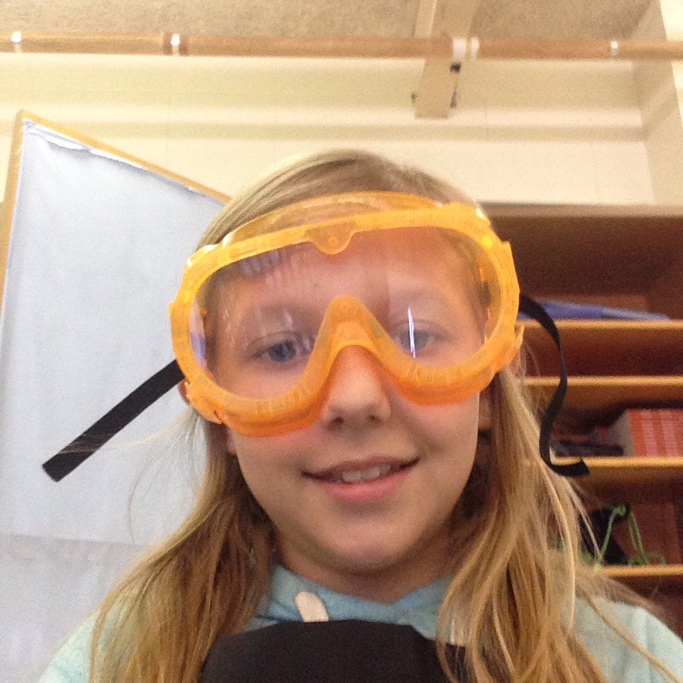 ms_hamlin's tweet photo. Dissections are happening at DJHS @DMiller0502 @dauphin_high @JthomasJudy @sessions7thmath @epriseschools https://t.co/V7A8Smiy3O