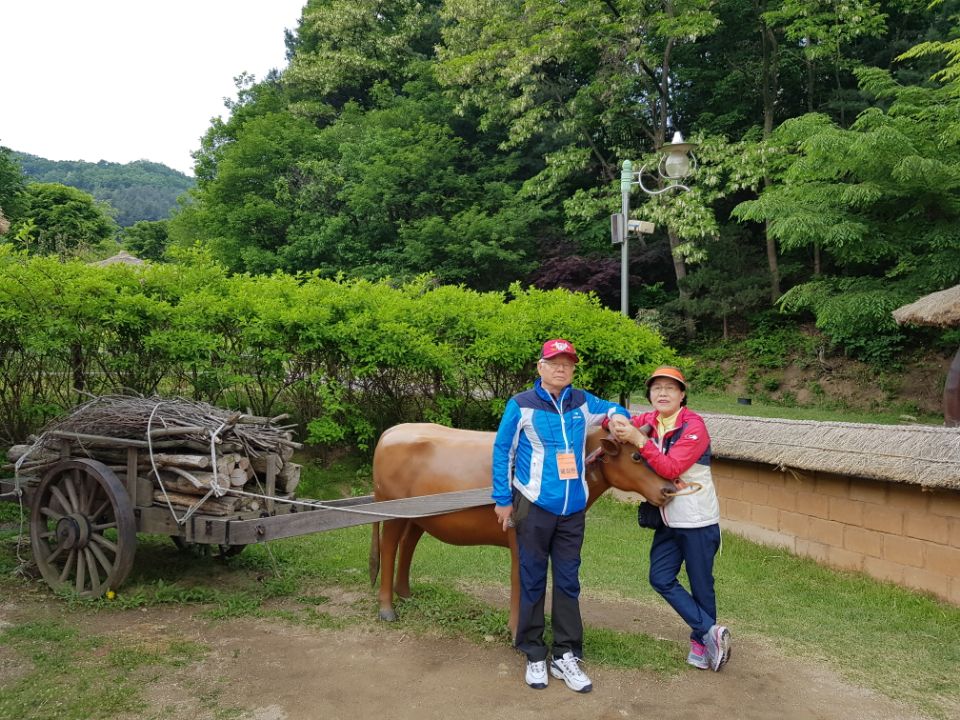 #성남시수정구보건소 뇌병변, 지체장애인과 가족들의 용인 농촌테마파크로 재활 봄나들이! 을지대학교 간호학과 실습생과 자원봉사자가 함께 테마파크를 산책하며 꽃밭에서 사진도 찍고 오미자젤리 만들기 체험으로 추억만들기를 함께했습니다😍
