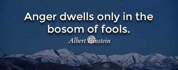 StevilKnievall's tweet photo. fools👇🏽
#AltRightRising  #theywillnotreplaceus #WhiteGenocide  #MAGA #WhiteLivesMatter 👉🏼 #TeamWhite😂 #DEPLORABLES #TrumpTrain #americafirst https://t.co/AQ0Hk8MLSG