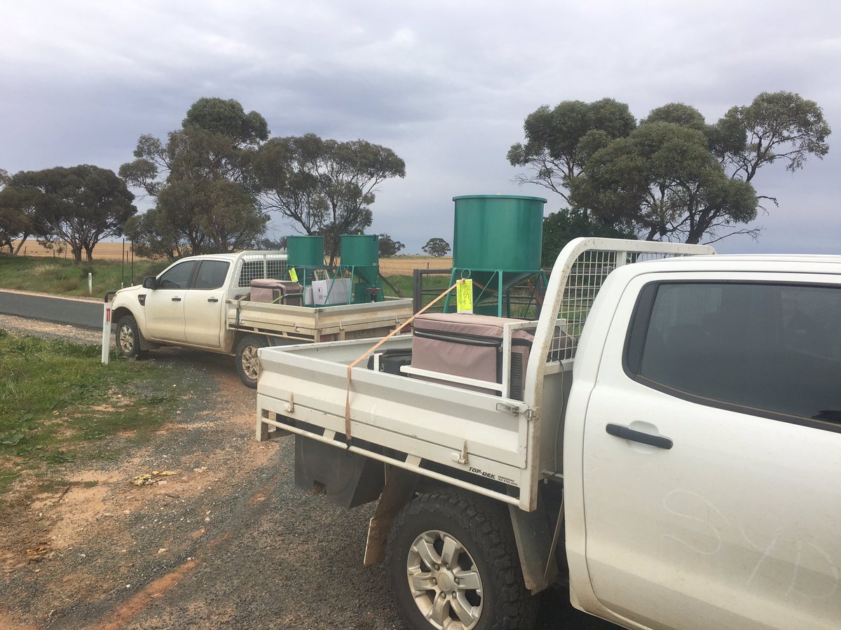 Andrew McMahen tweet media