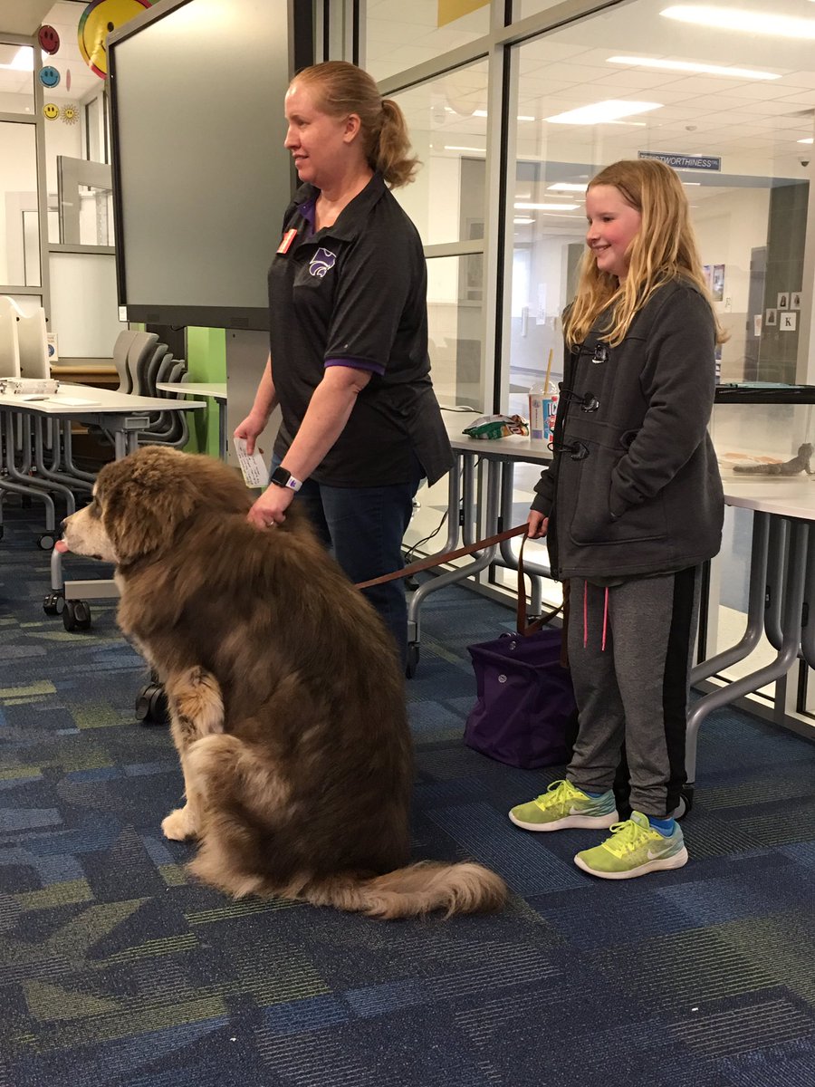 Amanda Neece tweet media