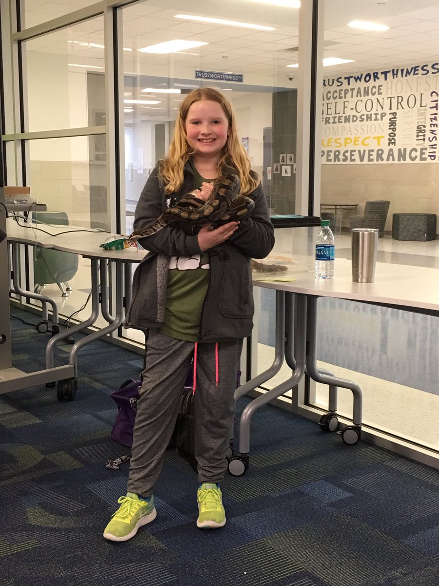 Amanda Neece tweet media