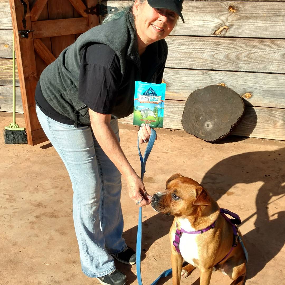 jerri_rector's tweet image. I just entered for a chance to win the #contest - True BLUE Trainers Gallery goo.gl/VAJtVw