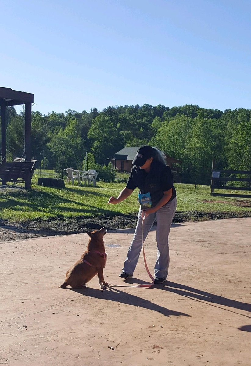 jerri_rector's tweet image. I just entered for a chance to win the #contest - True BLUE Trainers Gallery goo.gl/VAJtVw