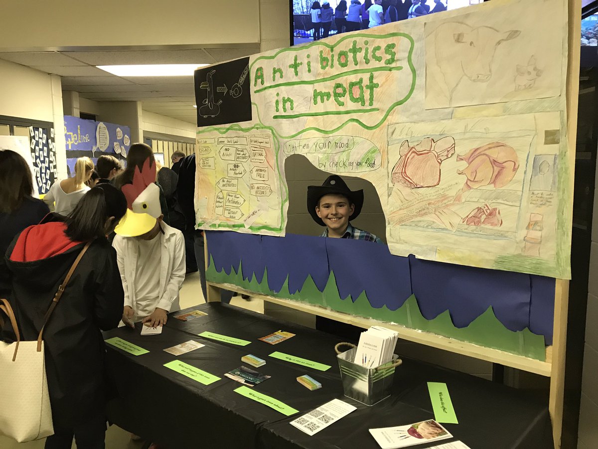 MrsColeTeaches's tweet photo. Some pretty amazing #inquiries and projects going on here! So amazing when we can learn and take #action together! #pypx @StClementECSD https://t.co/OQcdVR9cOu