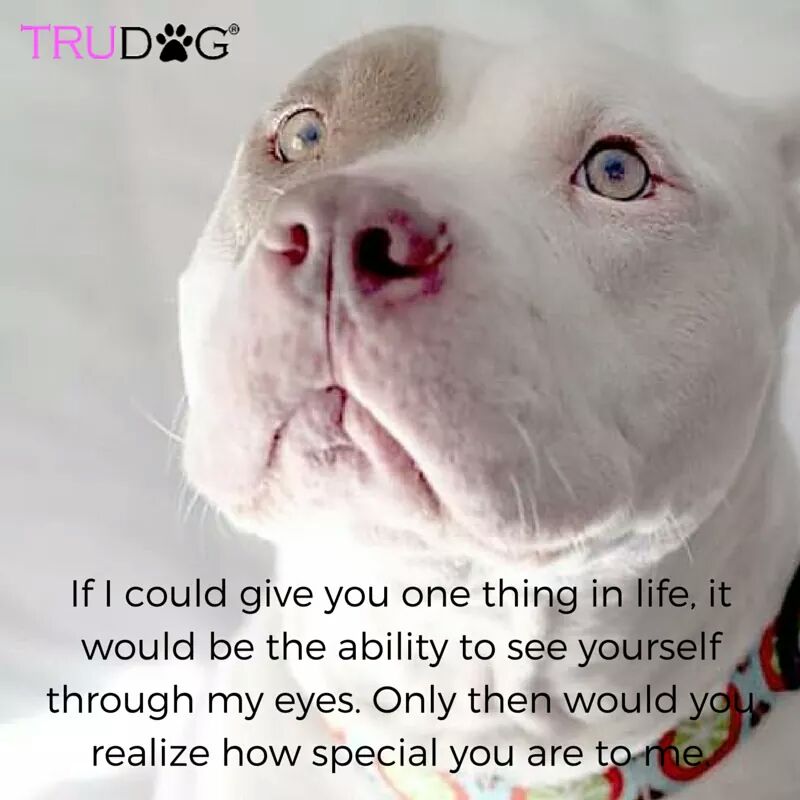 ThePitCrew4's tweet photo. https://t.co/ae2n2PozxC