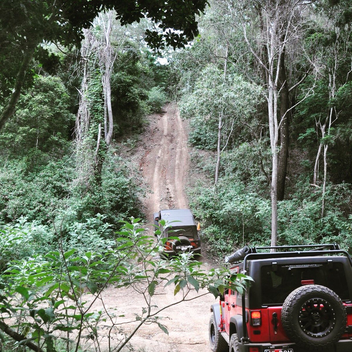 Wednesday Wheelin Adventures! #WednesdayMotivation #Jeep #JeepLife #jeepadventues #JeepMafia #JeepTrail #jeepwrangler #JeepFam #OffRoad #4x4