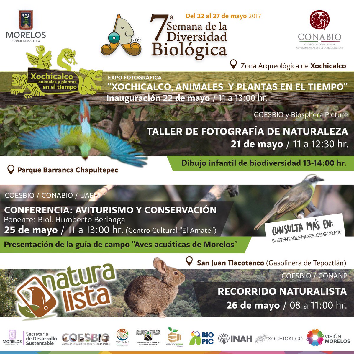 TopiltzinCM's tweet photo. En vivo con @GinaBatist platicamos sobre los próximos eventos de educación ambiental y #Biodiversidad en #Morelos https://t.co/beX99zIxXh