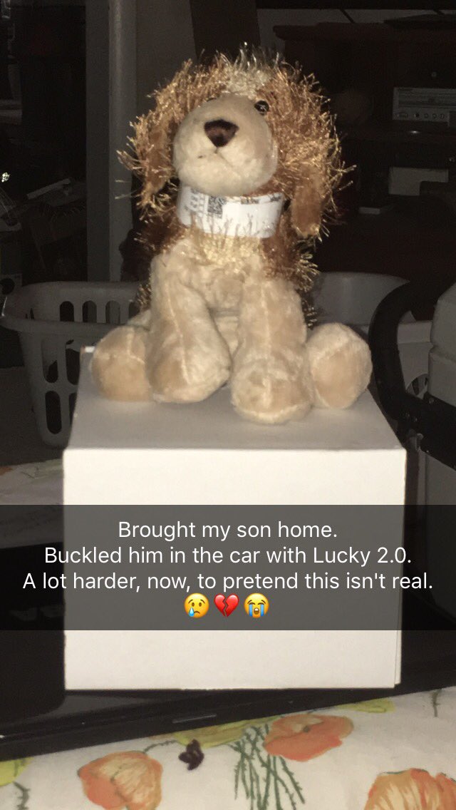 histio_mom's tweet photo. Brought my #HistioAngel home today.
#heartbroken #Mourning #Histiocytosis https://t.co/EJfgKlbz3V
