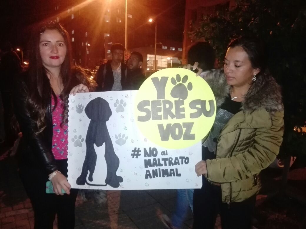 CaracolRadio's tweet photo. Cerca de 100 personas protestan contra la agresión que sufrió Sasha https://t.co/0SFHLqs9ZP https://t.co/sZuJGTeylu