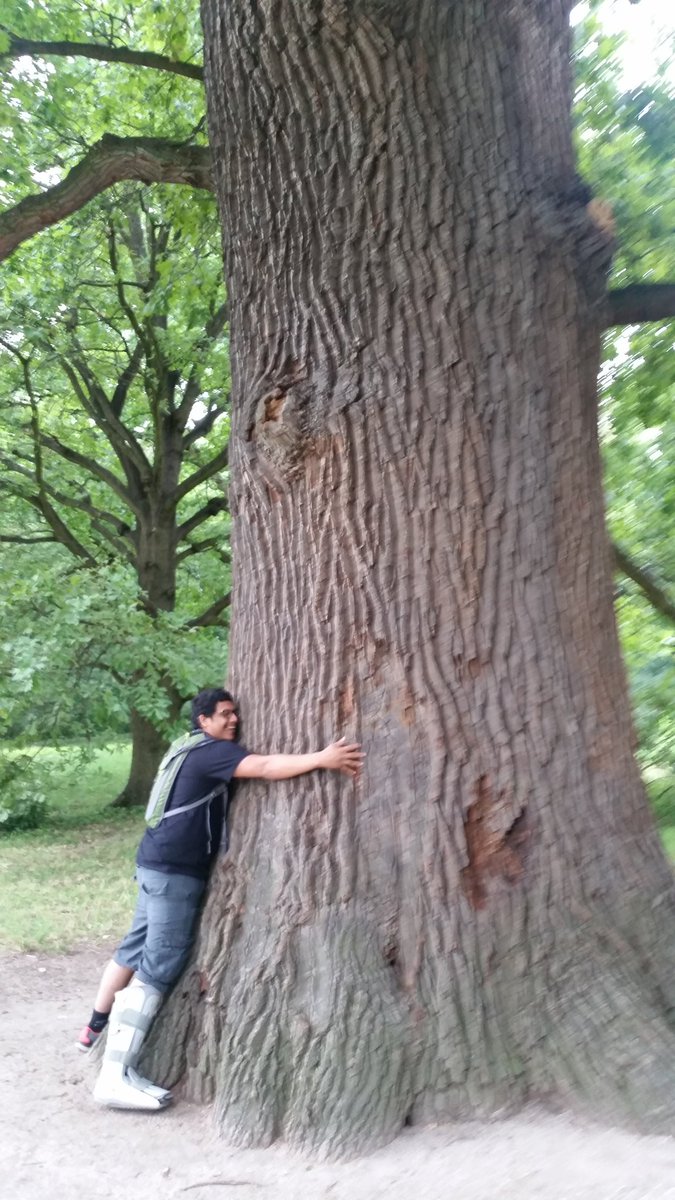gateway_crissy's tweet photo. @gogreengateway Kam hugged a tree today! :P https://t.co/AY7c5xnd6e