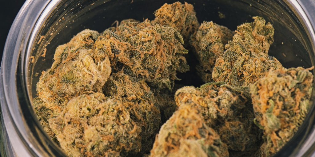 ThinkTankExile's tweet photo. Not a Gateway Drug: Research says cannabis helps fight addiction https://t.co/f5UuWJcIqC https://t.co/ZYceAR3XzZ