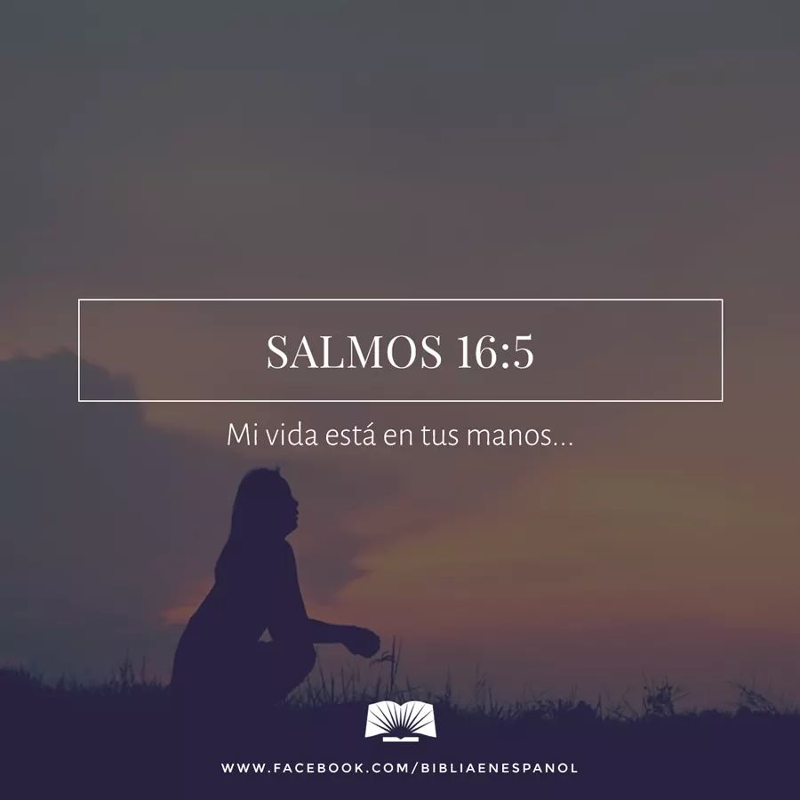 Tú, Señor, eres mi todo; tú me colmas de bendiciones; mi vida está en tus manos. - Salmos 16:5