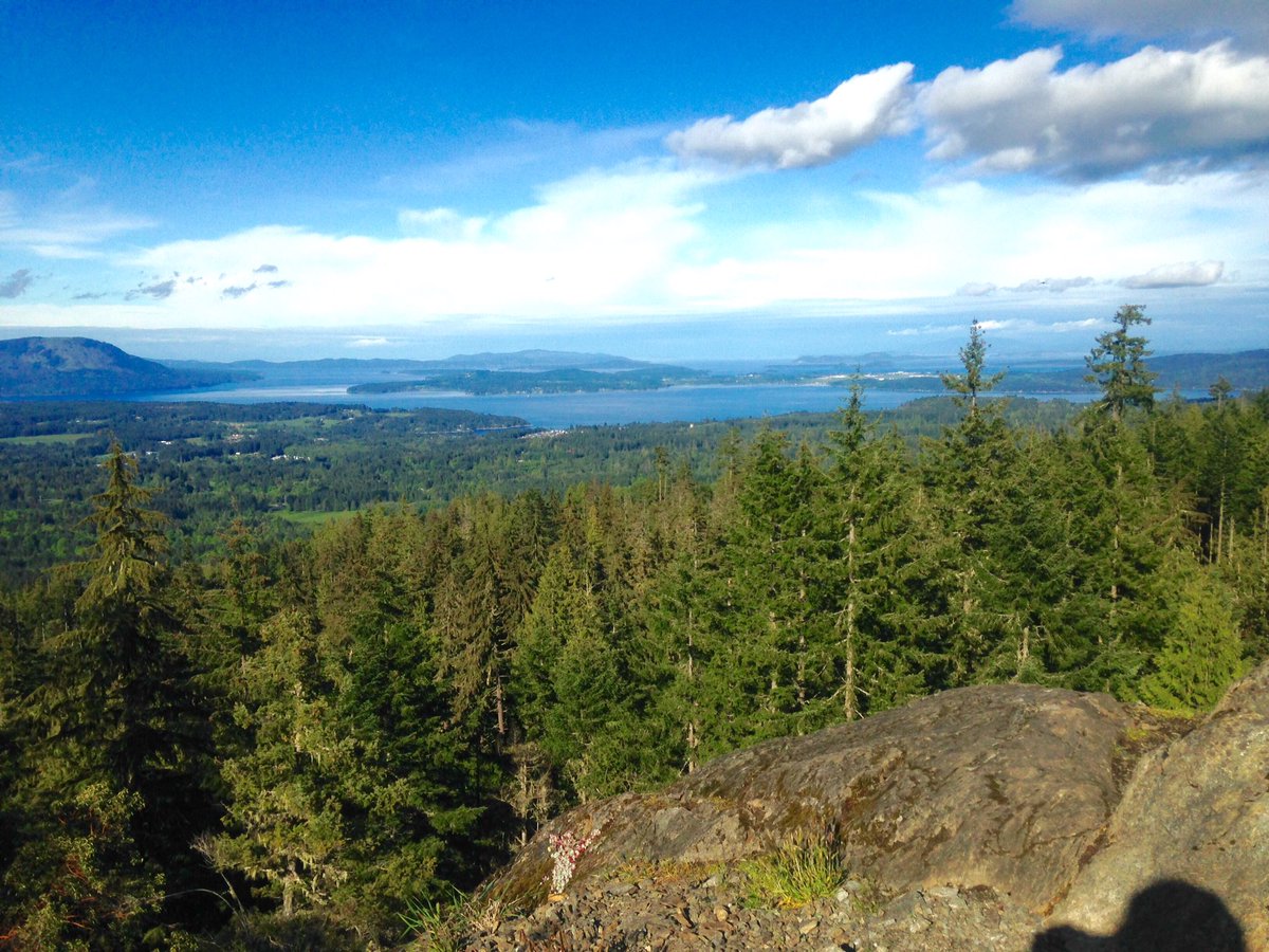 ASimpleRarity's tweet photo. Beautiful day, not too warm, but still nice :) #Shittyphonecamera https://t.co/OgUDJOcEEw