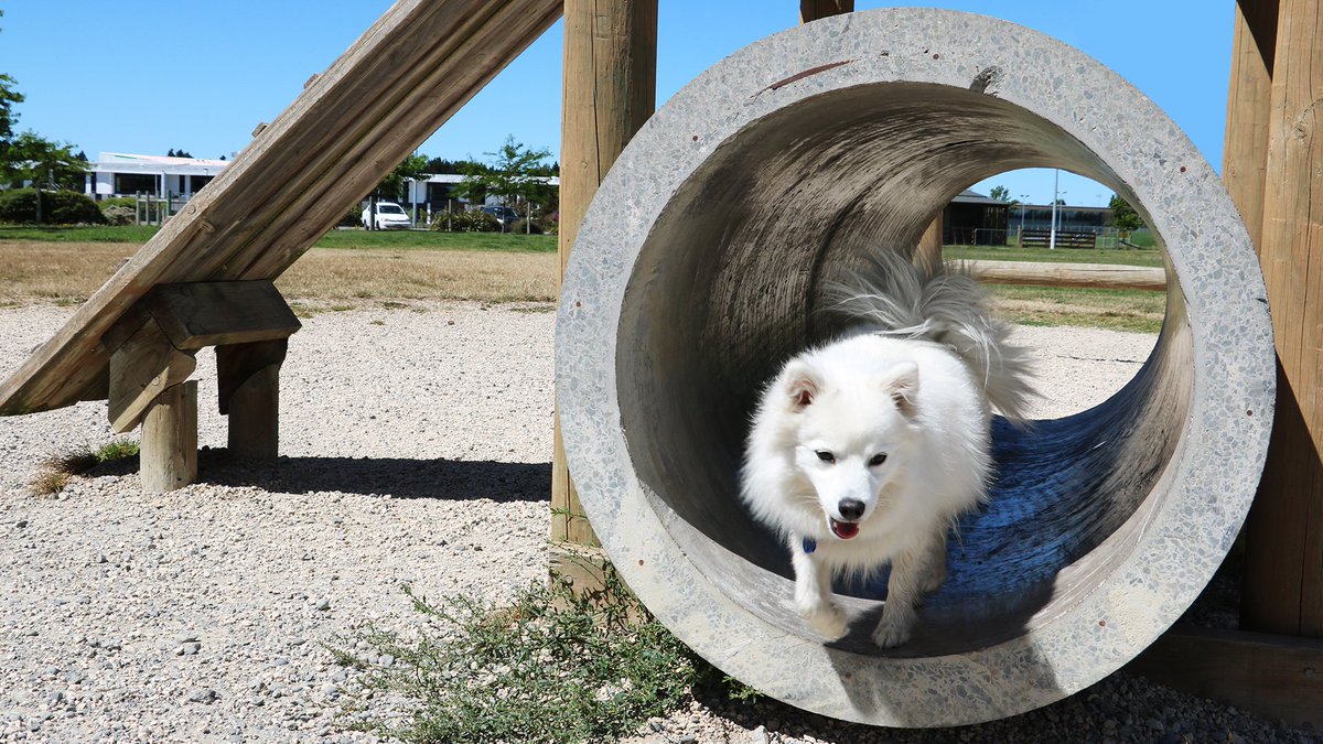 New 1.8 hectare dog park is planned for Leeston with planting, dog exercise equipment &amp; a small pond. Expected to be completed spring time