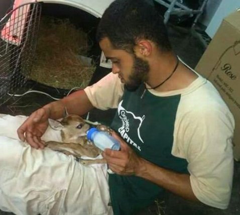 ChuoTorrealba's tweet photo. Diego Arellano nutría venaditos, y sueños. Biólogo, 31 años, trabajaba en la Fac de Farmacia UCV. Hoy lo asesinaron por querer un país mejor https://t.co/jtqEEiotf8