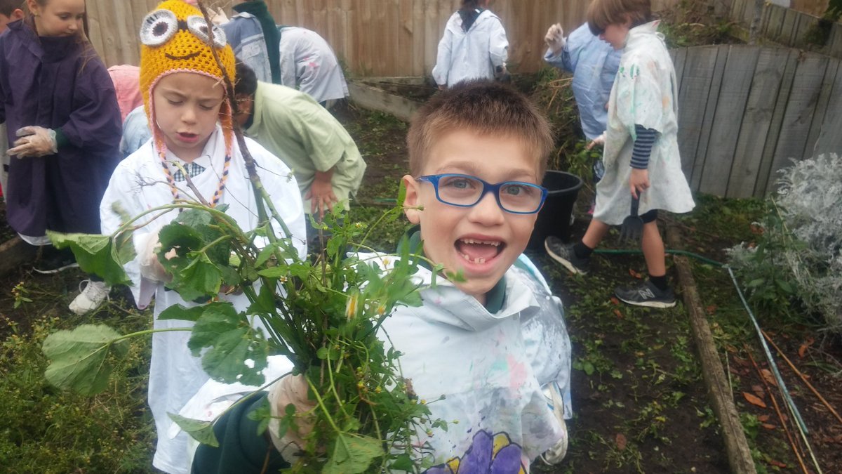 room3bromley's tweet photo. Beginning to clear out all the weeds in our garden! Lots to do before we can start planting. #bromleyschoolnz https://t.co/5MuQzKTIdw