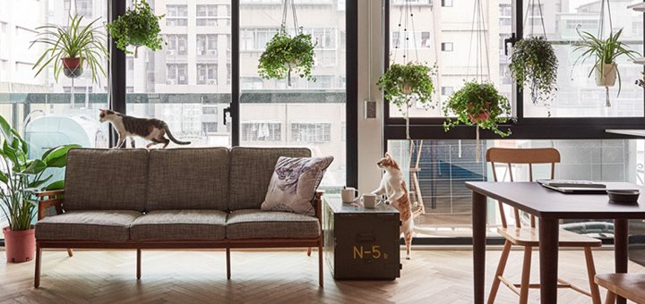 cercasicasait's tweet image. Un mini #loft perfetto per chi ama i gatti: Prima della sua trasformazione, questo #miniloft era un appartamento… j.mp/2pS5vCQ