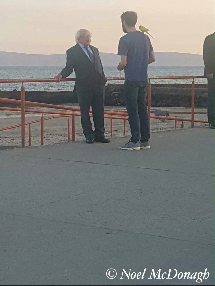 theirishfor's tweet photo. This is the Galway-est photo ever. Extra Virgin Gaillimh Oil. (Photo @NoelMcDonagh) https://t.co/XgPTgq3M0e