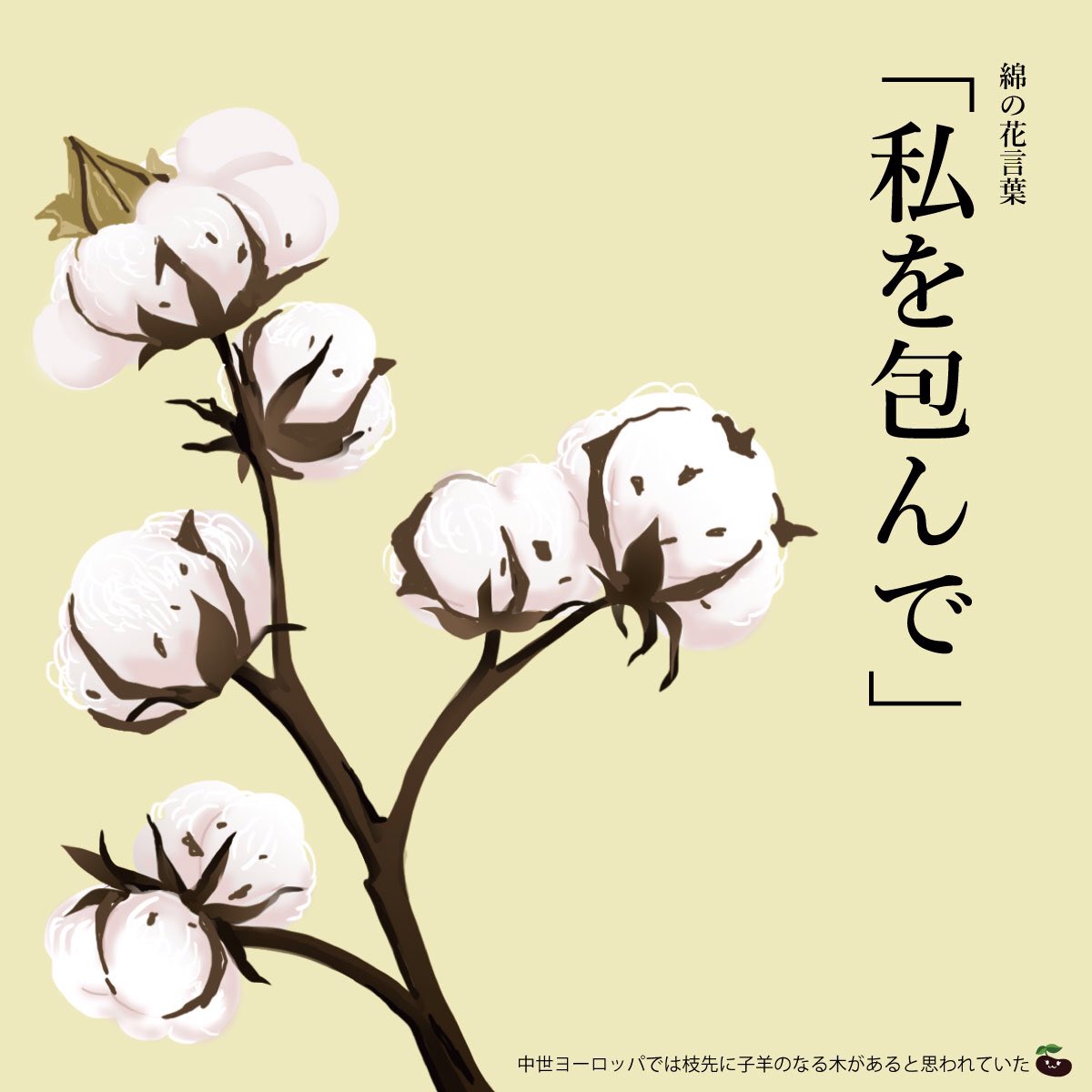 はな言葉 葉菜桜花子 新刊発売 きょう5月10日は コットンの日 コッ 5 トン 10 の語呂合せ 日本紡績協会が1995年10月に制定 綿の花言葉は 私を包んで T Co Wlotw9d1ft Twitter
