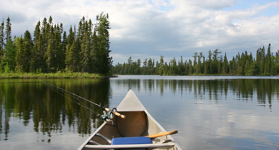 VangoAuto's tweet photo. Fisher people out there here's a cool #Midwest fishing road trip #VanGoAuto #Fishing #roadtrip https://t.co/ZwAgFlidjE https://t.co/5wbD60h8d4