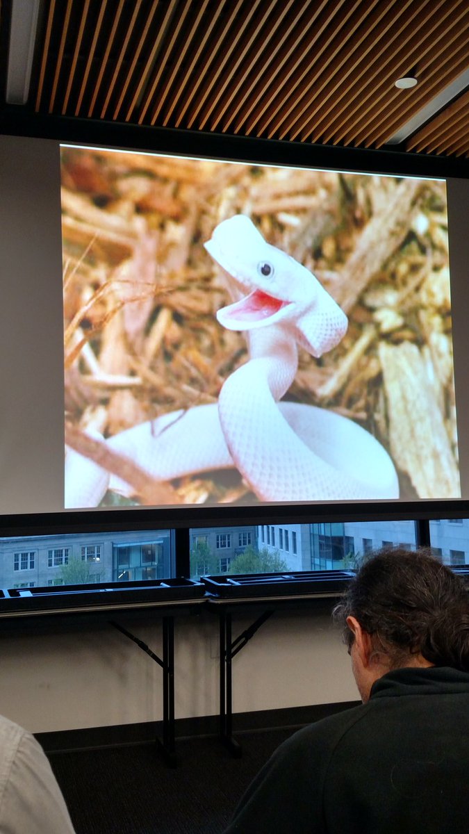 bpben2's tweet image. #pythonlife