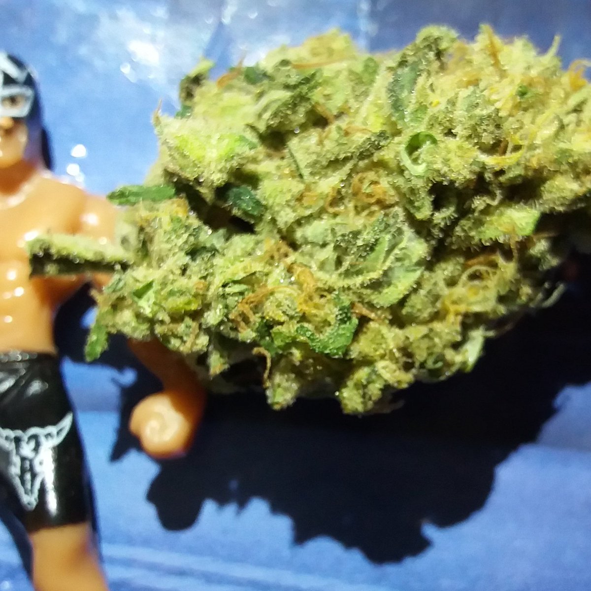 Allcity420's tweet photo. 🇱🇷 Lemon Kush Headband 🇱🇷 #allcity420 #lemonkush #headband #lemon #kush #ukcannabiscommunity 420 https://t.co/bFNqCRMFZK